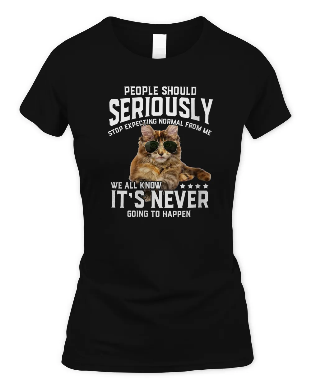 Womens Cat People Should Seriously Graphic Gift Idea Humor Novelty V-Neck T-Shirt Women's Soft Style Fitted T-Shirt black s