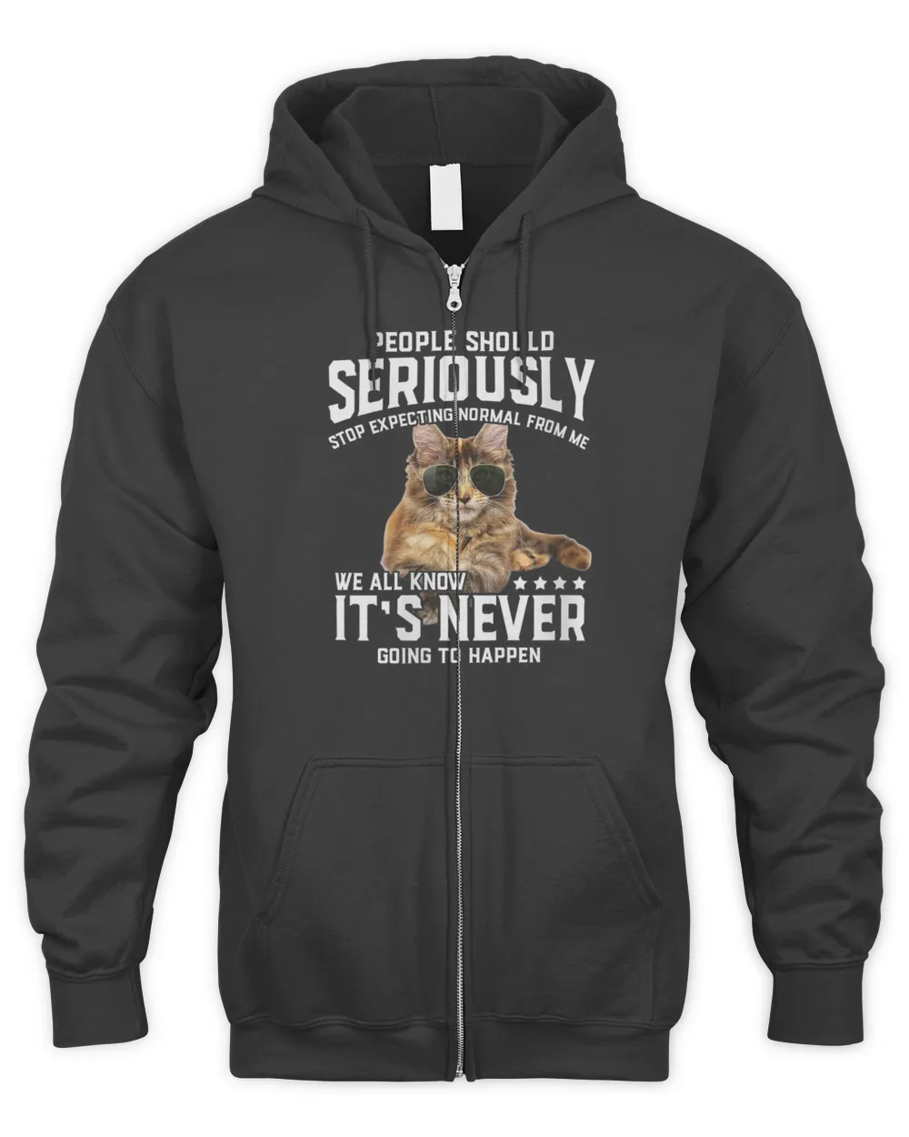 Womens Cat People Should Seriously Graphic Gift Idea Humor Novelty V-Neck T-Shirt Men's Zip Hoodie black s
