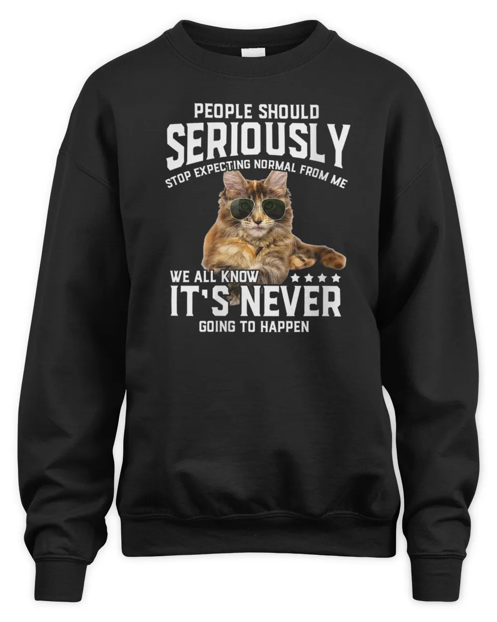 Womens Cat People Should Seriously Graphic Gift Idea Humor Novelty V-Neck T-Shirt Unisex Sweatshirt black s
