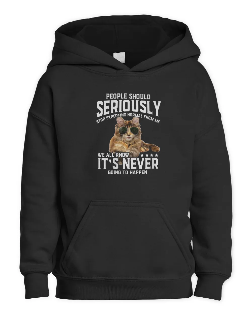 Womens Cat People Should Seriously Graphic Gift Idea Humor Novelty V-Neck T-Shirt Kids Pullover Hoodie black xs