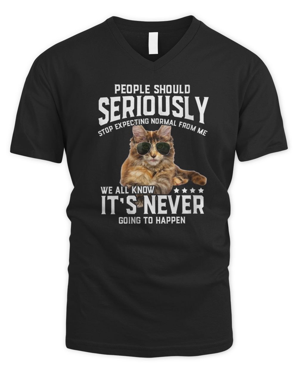 Womens Cat People Should Seriously Graphic Gift Idea Humor Novelty V-Neck T-Shirt Men's V-Neck T-Shirt black s