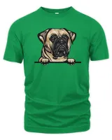 Men's Premium Tshirt Men's Premium Tshirt