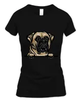 Women's Soft Style Fitted T-Shirt Women's Soft Style Fitted T-Shirt