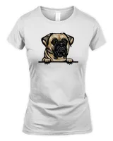 Women's Soft Style Fitted T-Shirt
