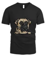 Men's V-Neck T-Shirt Men's V-Neck T-Shirt