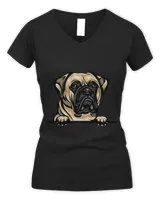 Women's V-Neck T-Shirt Women's V-Neck T-Shirt