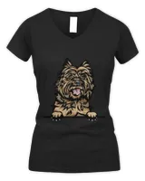 Women's V-Neck T-Shirt Women's V-Neck T-Shirt