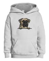 Kids Pullover Hoodie