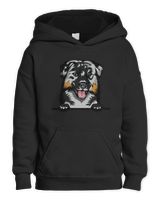 Kids Pullover Hoodie Kids Pullover Hoodie