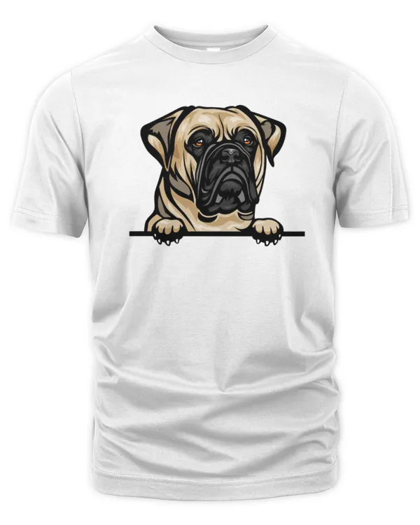 Men's Premium Tshirt