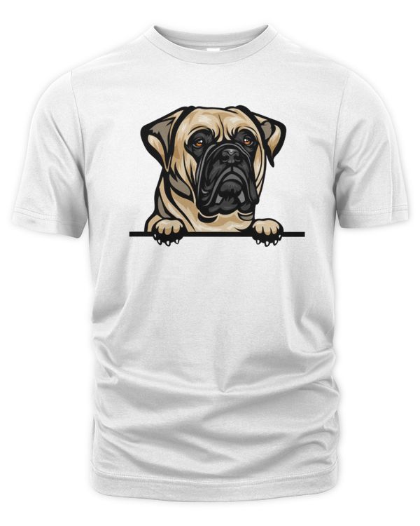 Men's Premium Tshirt